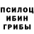 Галлюциногенные грибы мицелий Nihar