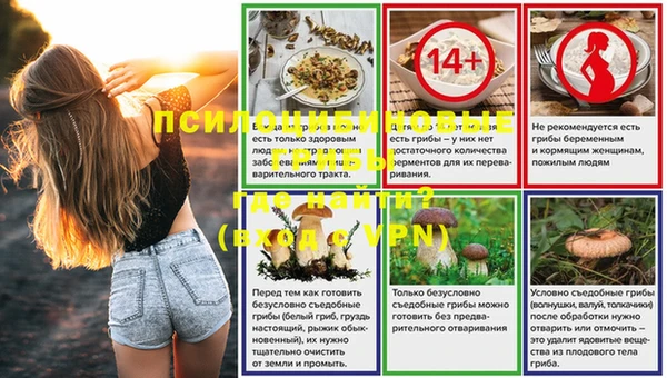 гидропоника Новозыбков