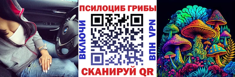 ссылка на мегу ONION  Кораблино  Галлюциногенные грибы Psilocybe 